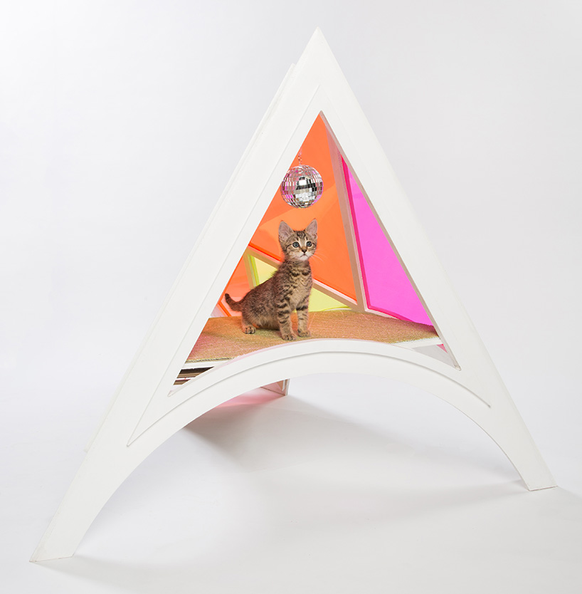 architect designed cat shelters