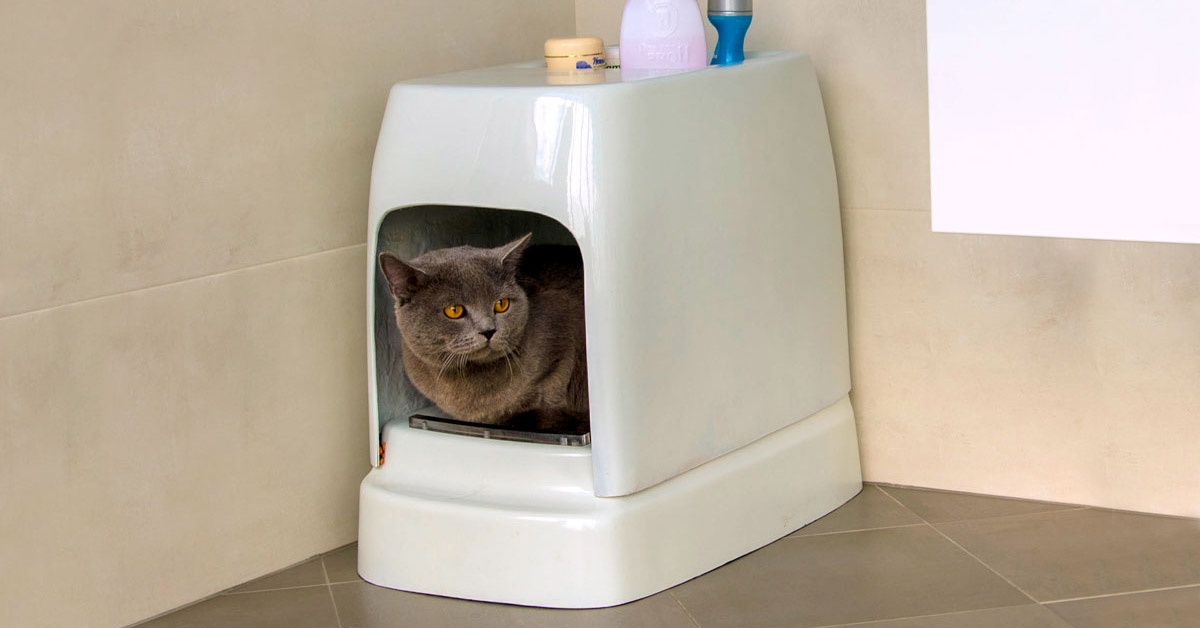the automatic flushable toilet for cats 
