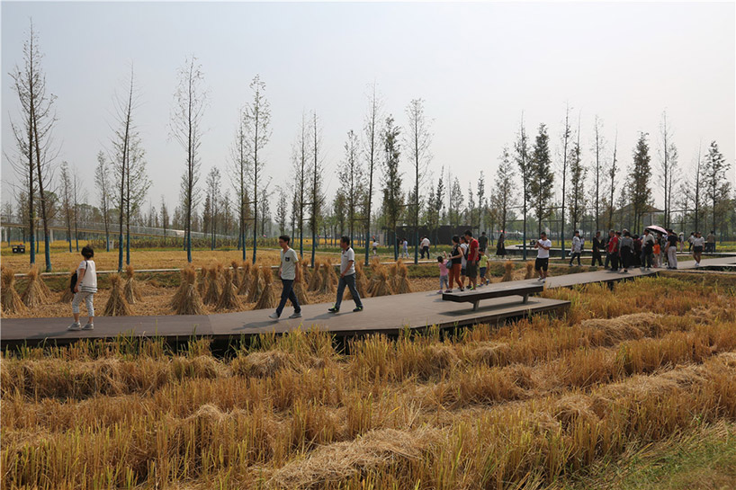 chengtoushan archaeological park wins landscape of the year at WAF 2017 designboom