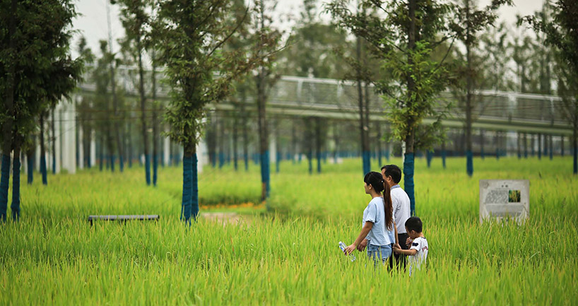 chengtoushan archaeological park wins landscape of the year at WAF 2017 designboom