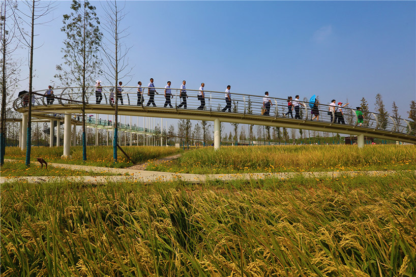 chengtoushan archaeological park wins landscape of the year at WAF 2017 designboom