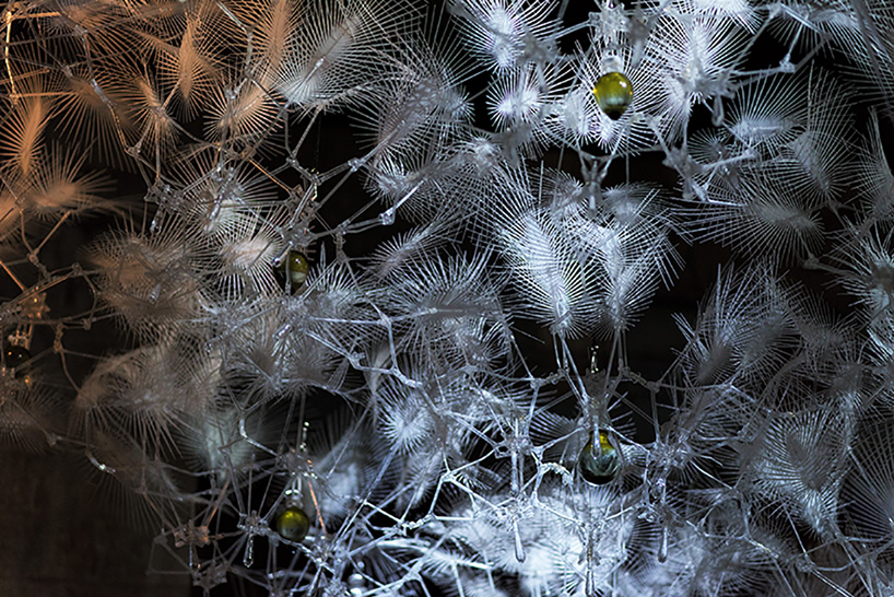 living architecture systems group