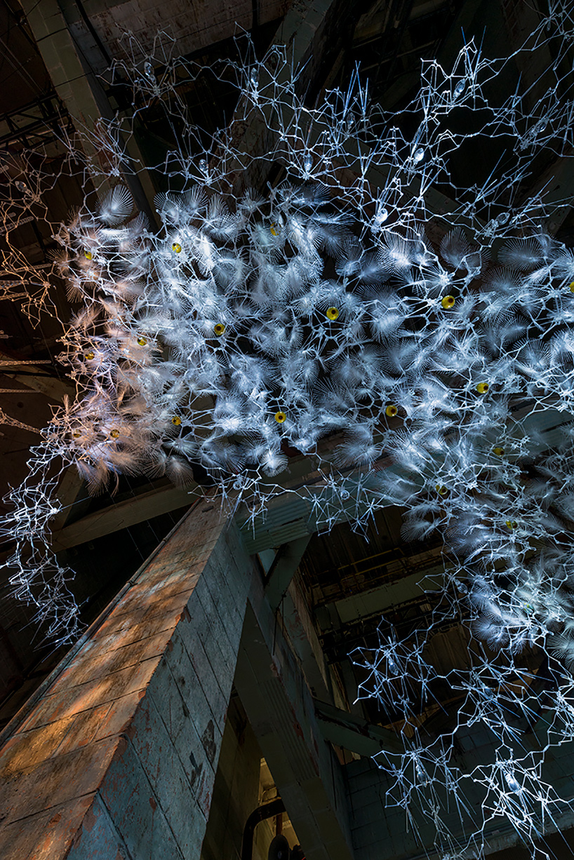 living architecture systems group