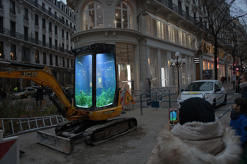 benedetto bufalino aquarium