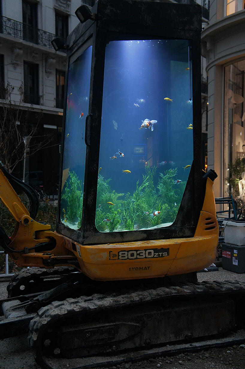 benedetto bufalino aquarium