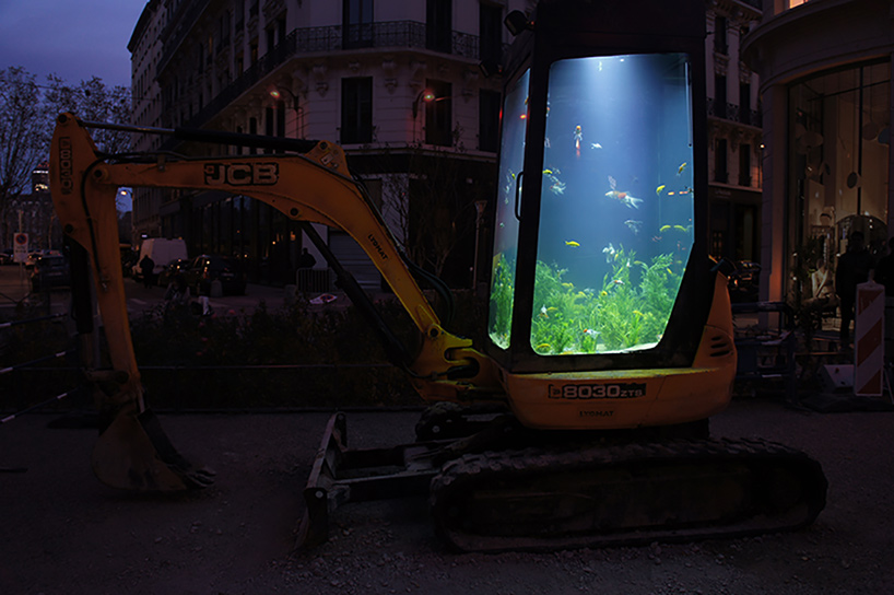 benedetto bufalino aquarium