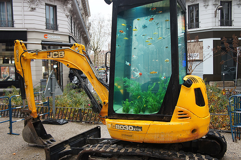 benedetto bufalino aquarium bufalino aquarium