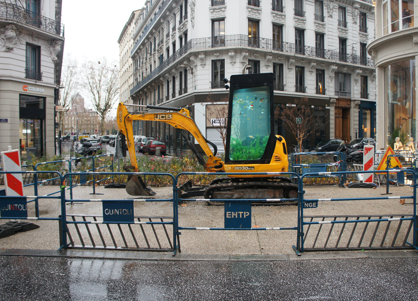 benedetto bufalino aquarium