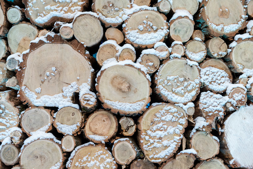 holiday installations