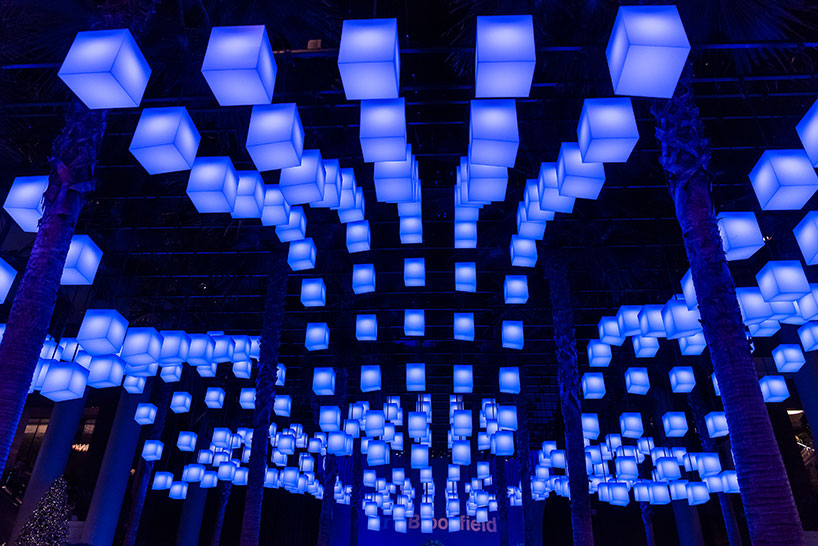 holiday installations