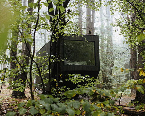 'getaway' from everything and escape to a secluded woodland tiny house