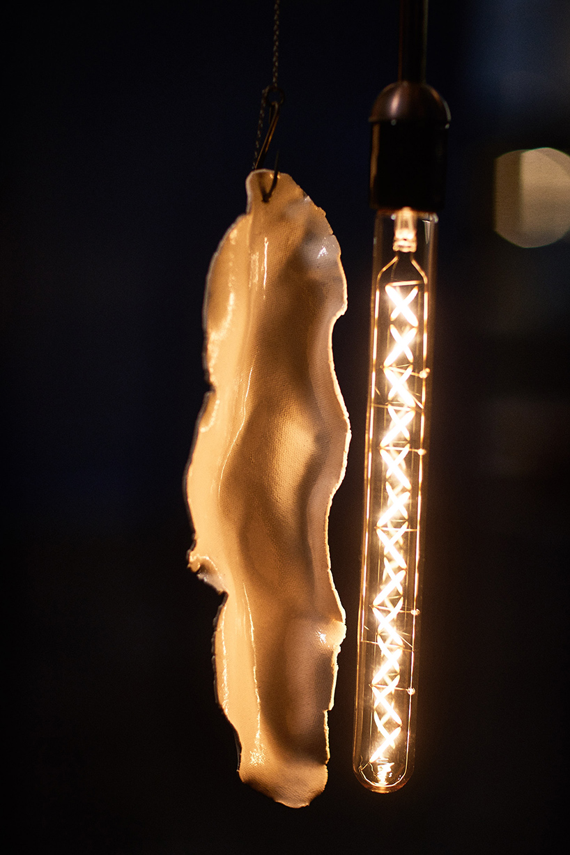 lindsey adelman design miami