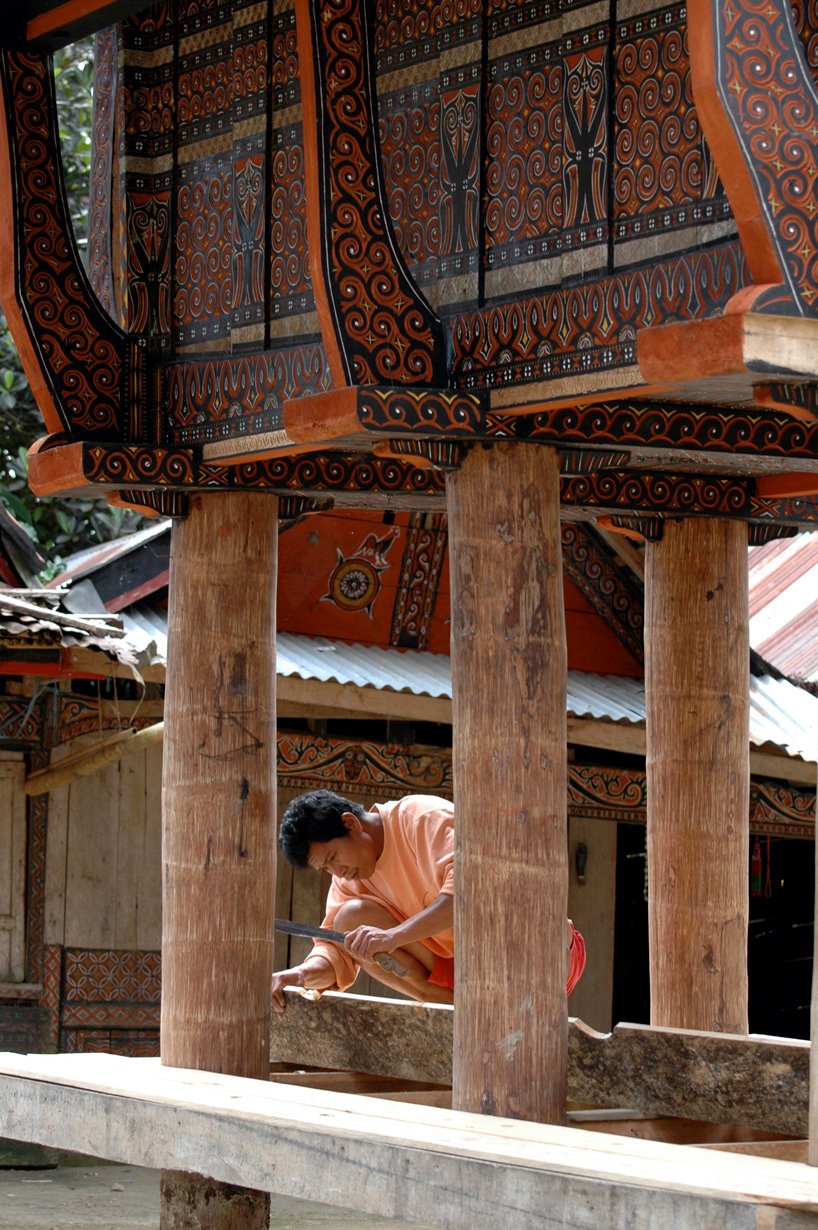 sandra piesik changing planet