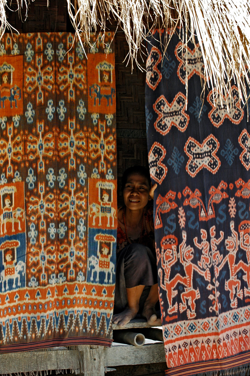 sandra piesik changing planet