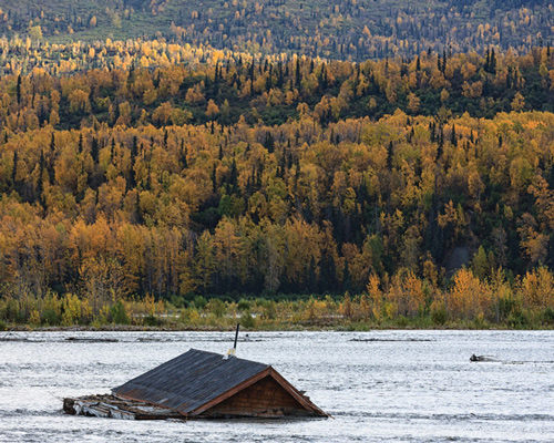 changing planet and changing habitat. sandra piesik asks, what next?