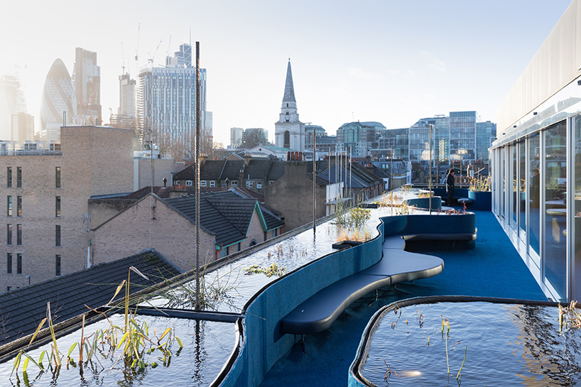 selgascano second home rooftop