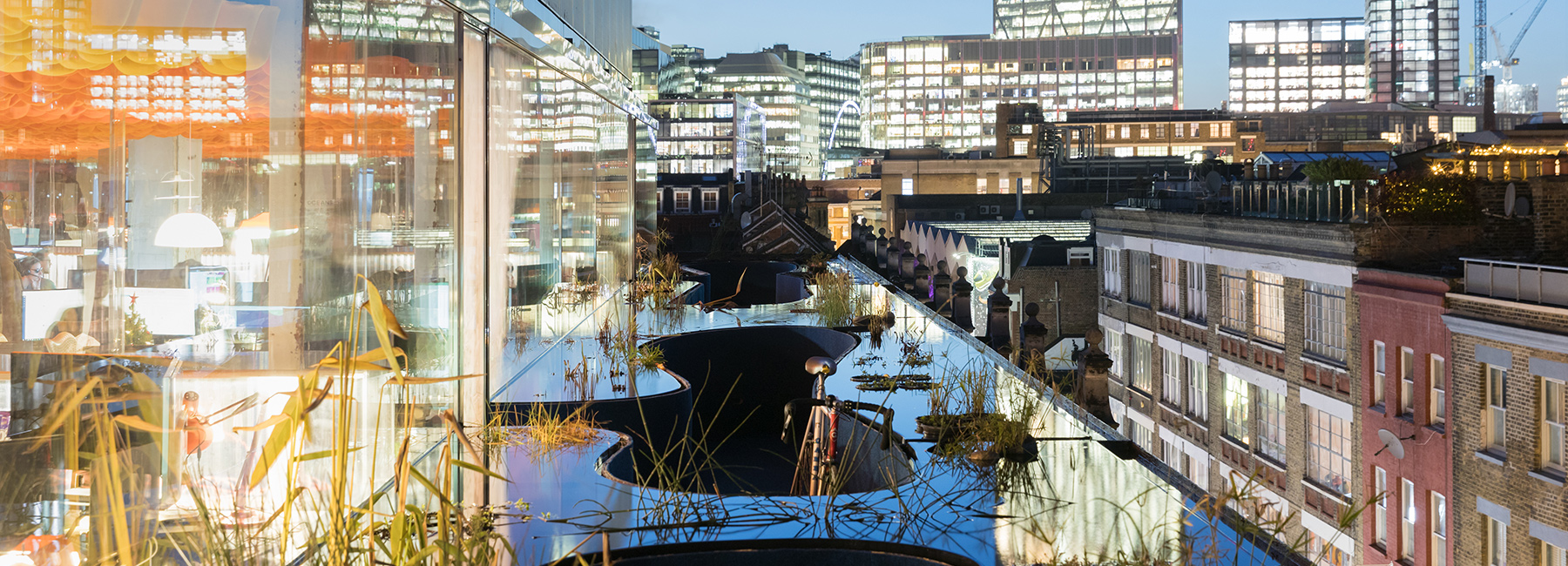 selgascano extends second home's london building with plant-filled rooftop space