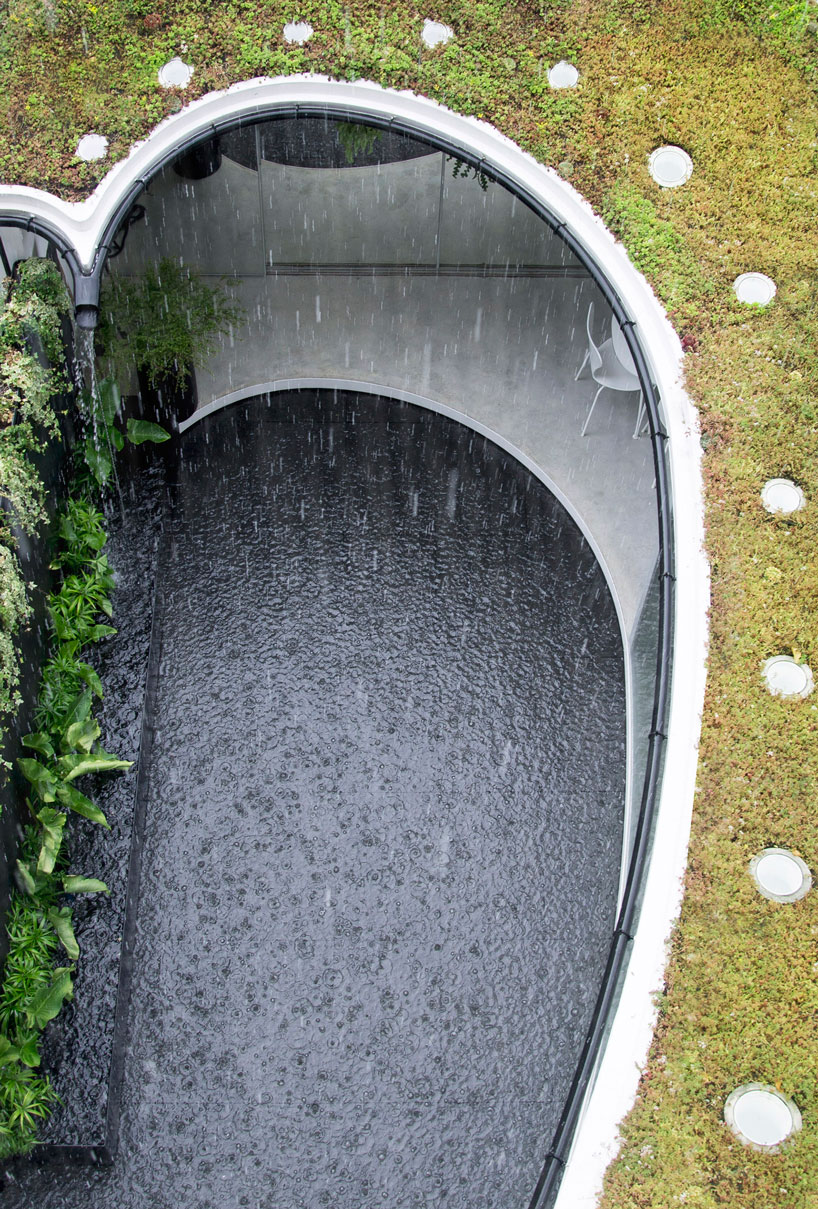 tonkin liu sun rain room