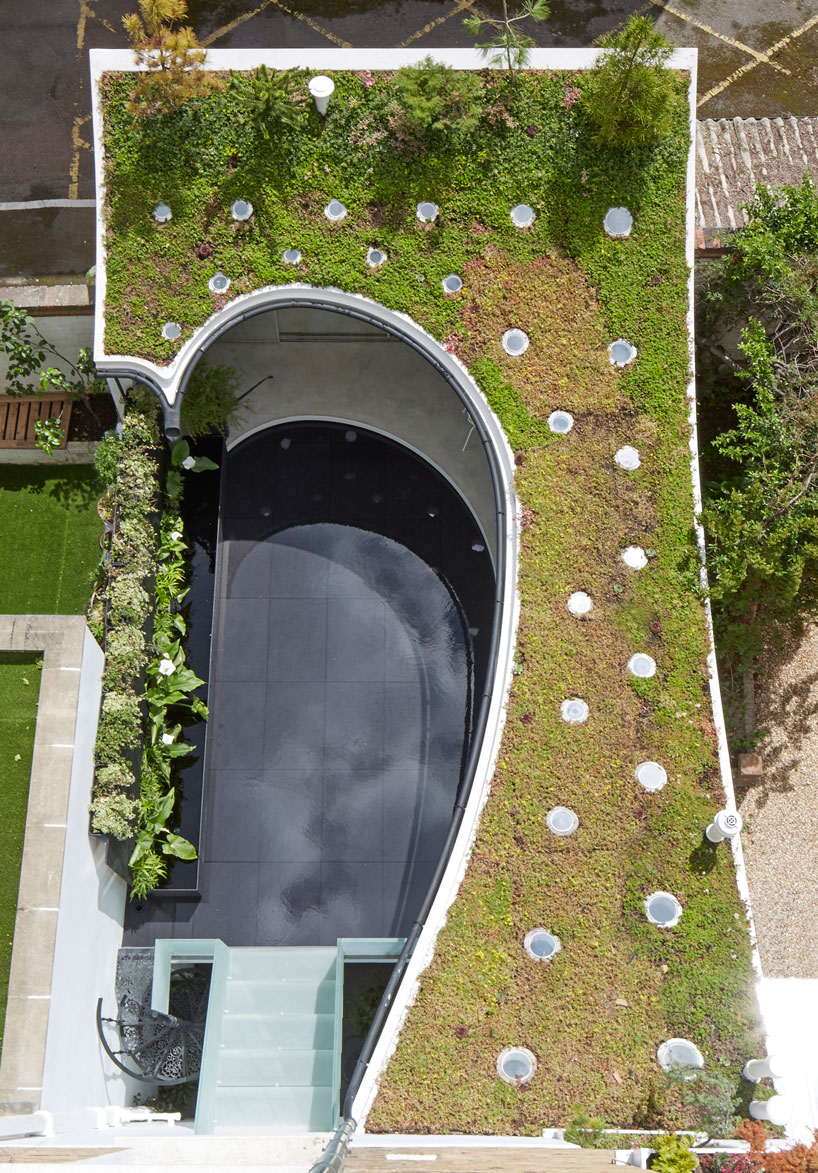 tonkin liu sun rain room