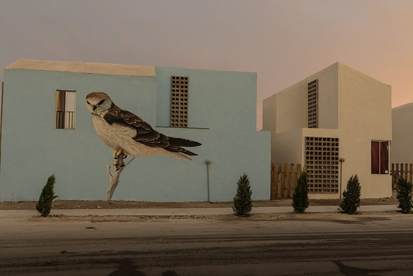 tatiana bilbao interview