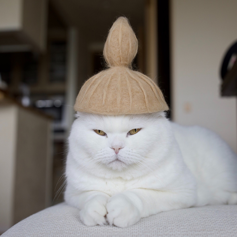these 100 cat hair cat hats by ryo yamazaki are going viral