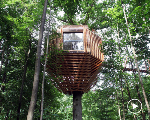 the ORIGIN tree house by atelier LAVIT is a secluded forest retreat