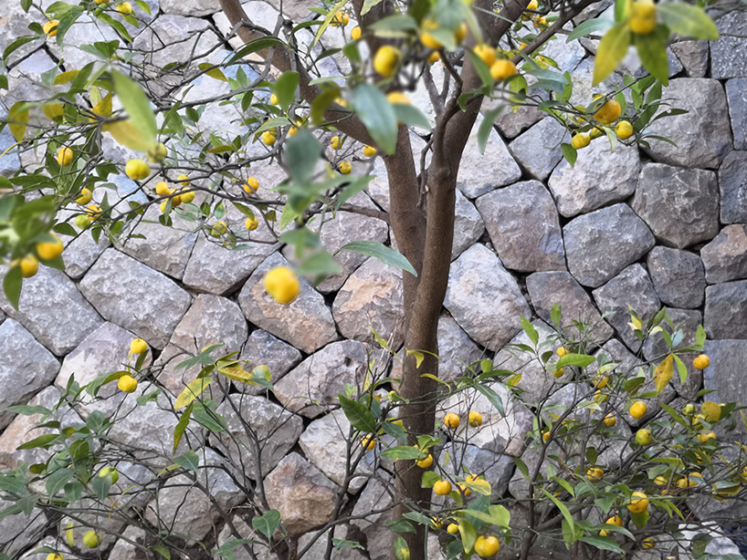 hiroshi sugimoto enoura observatory japan designboom