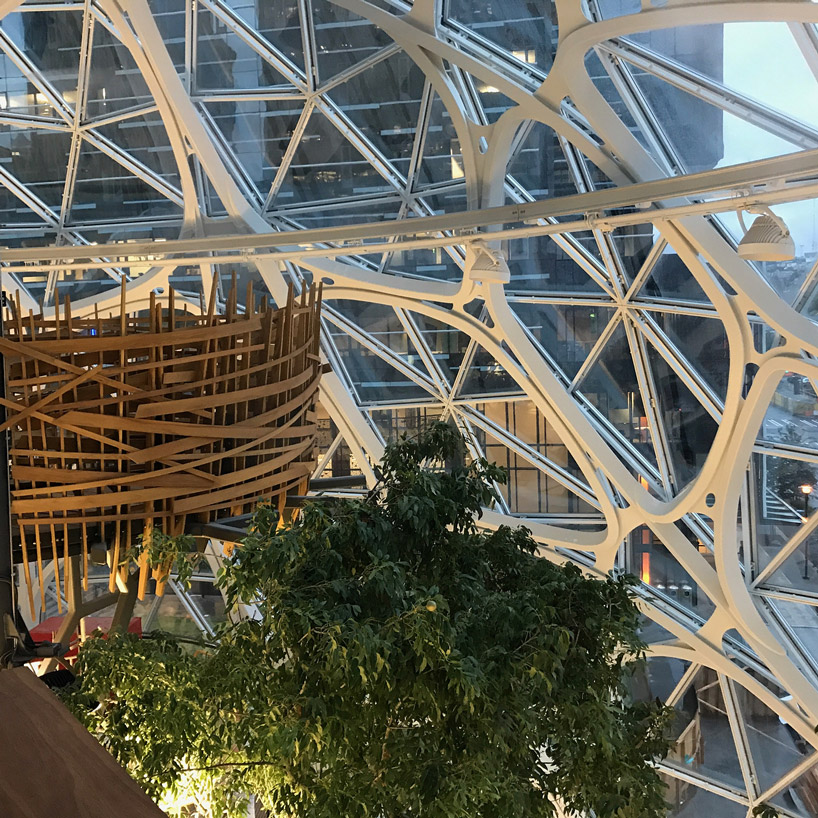 amazon spheres, the mini rainforest campus in seattle by NBBJ