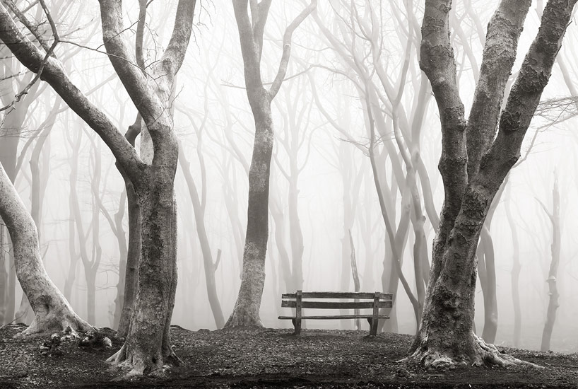 IKEA and hasselblad's art collaboration captures another giant leap - 5