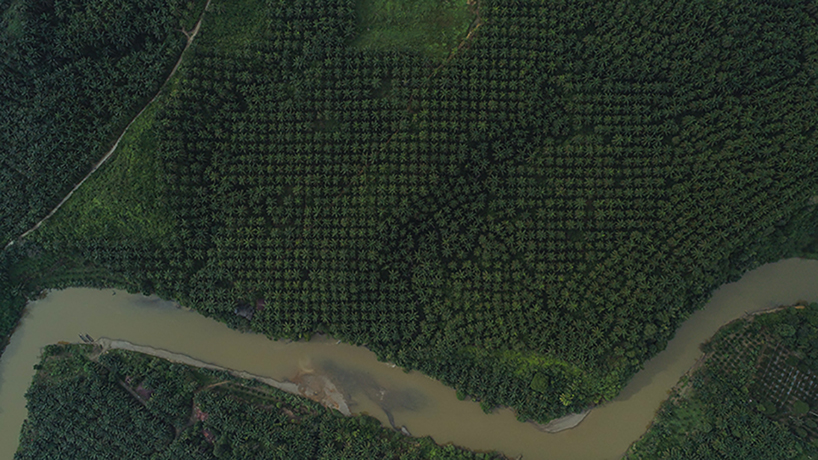 ernest zacharevic SOS