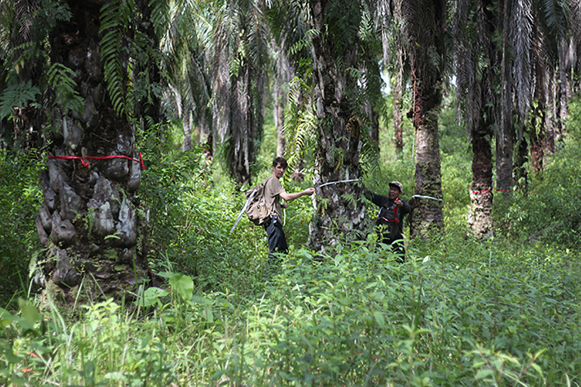 ernest zacharevic SOS