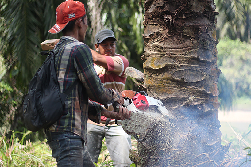 ernest zacharevic SOS