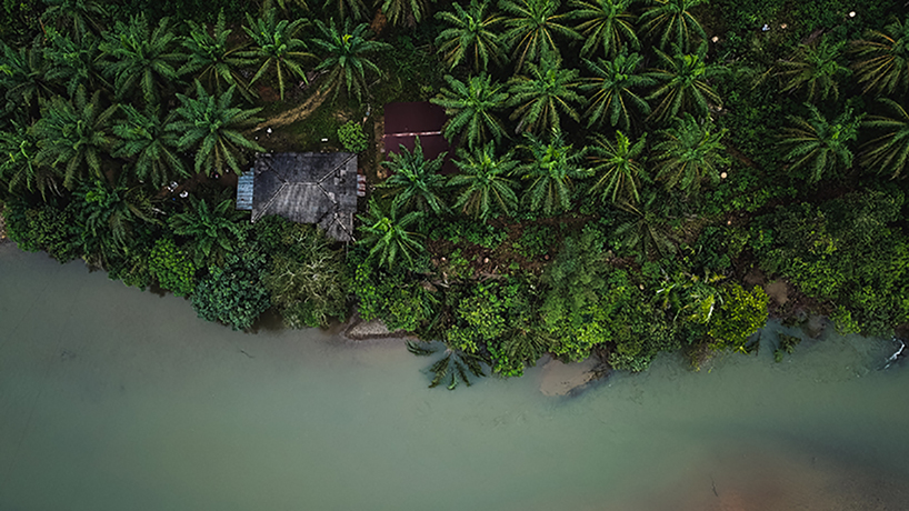 ernest zacharevic SOS