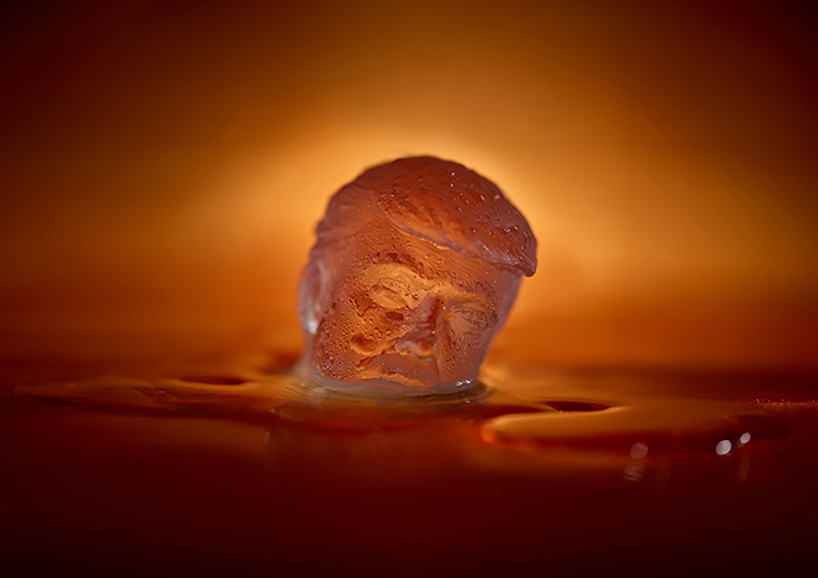 scott kelly ben polkinghorne trump