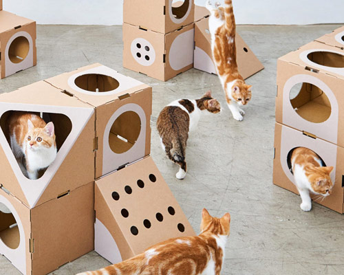 cat city: 'a cat thing' module system allows infinite variations for feline friendly living quarters