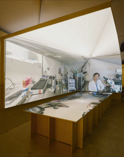 sex so called city andres jaque miguel de guzman