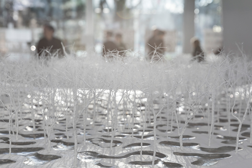 junya ishigami fondation cartier