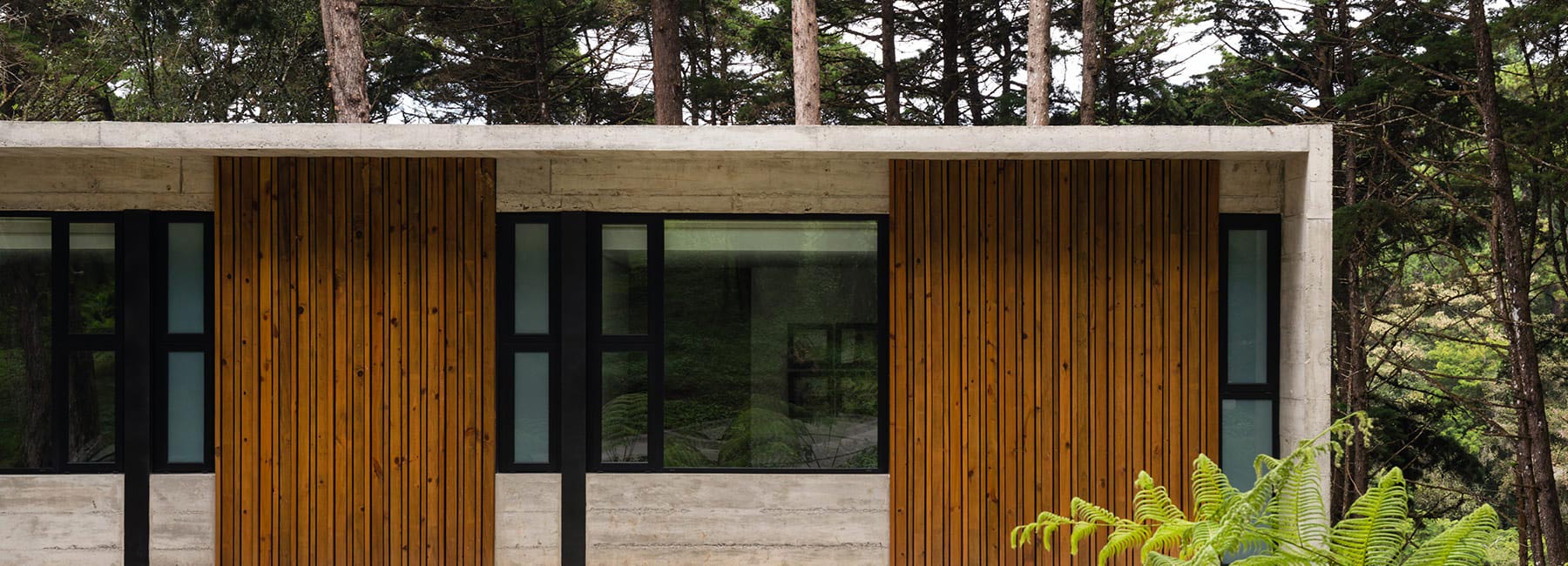 paz arquitectura's exposed concrete house in guatemala contrasts with