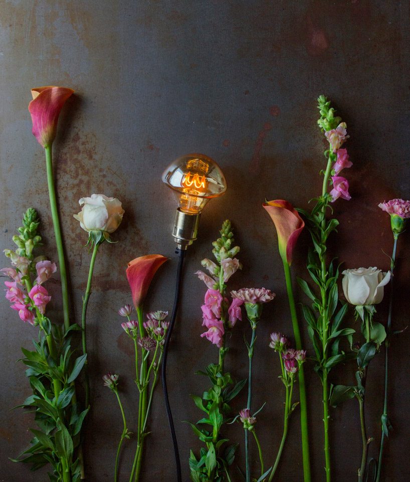 plumen updates thomas edison’s filament bulb with a 21st century silhouette 