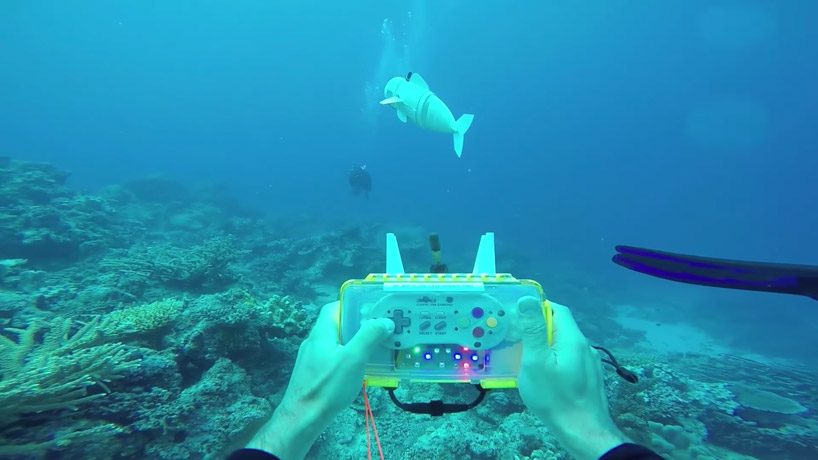 MIT researcher's robotic fish is an impressively realistic spy in marine life