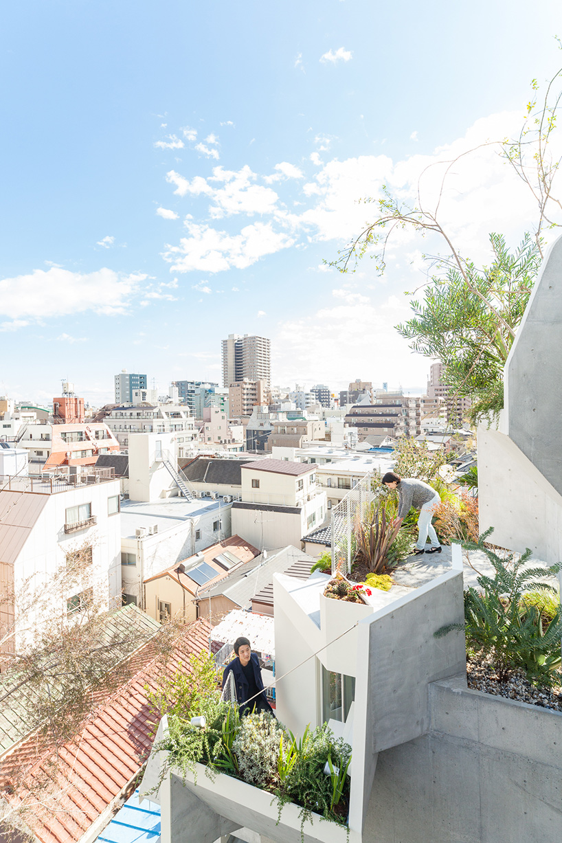 akihisa hirata tree-ness house