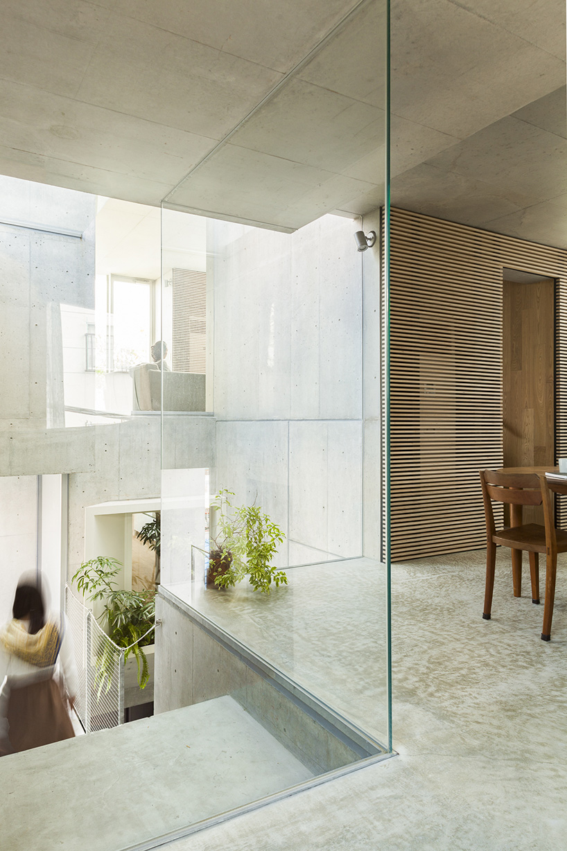 akihisa hirata tree-ness house