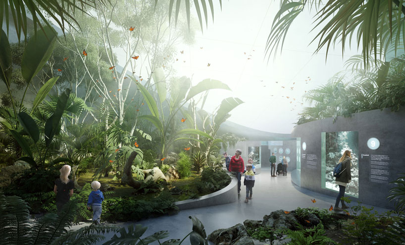 3XN GERNER GERNER PLUS