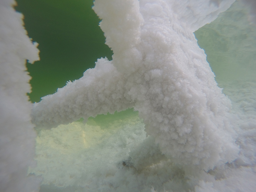 erez nevi pana vegan furniture