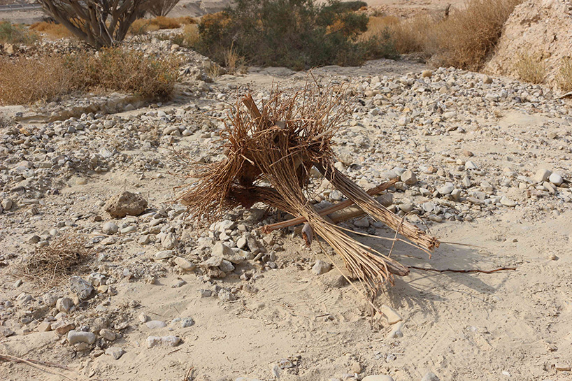 erez nevi pana vegan furniture