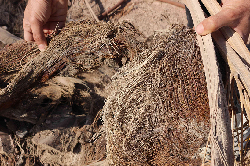 erez nevi pana vegan furniture