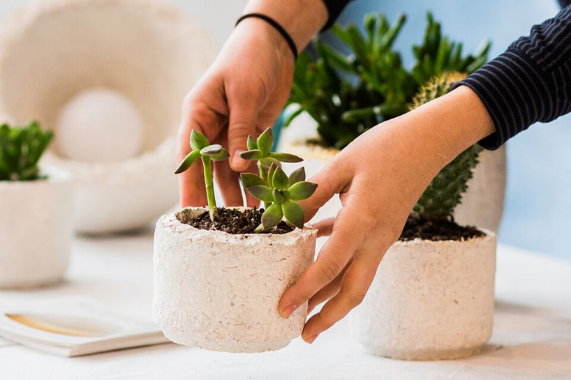 industry city design festival