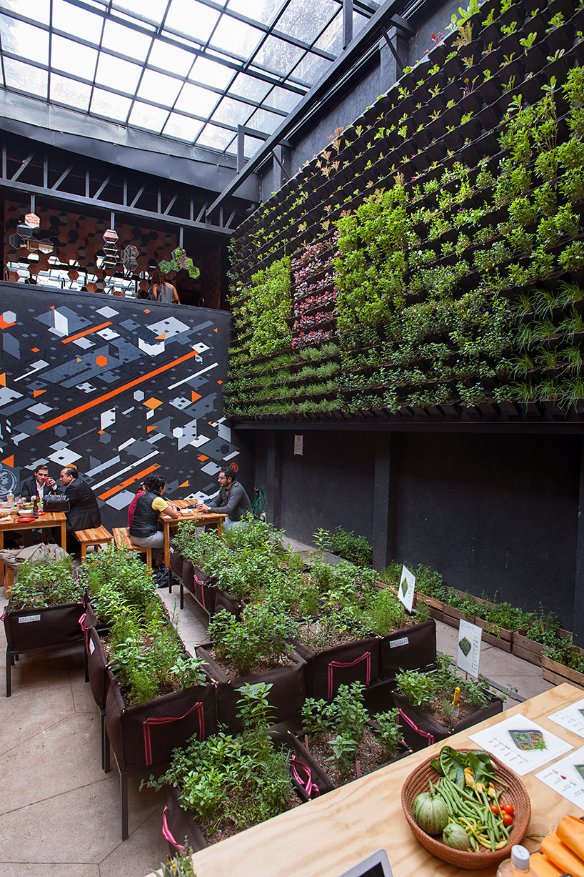 michel rojkind interview