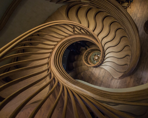 stairstalk, a plant-like staircase designed by atmos studio