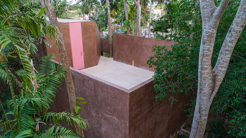 TACO portico palmeto